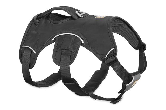 WebMaster_Harness_Twilight_Gray