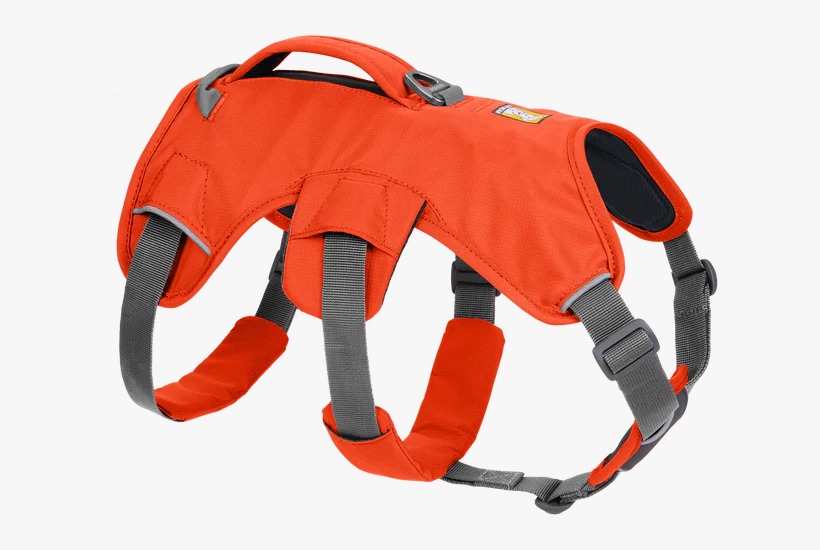 Webmaster_Harness_Blaze_Orange_R001