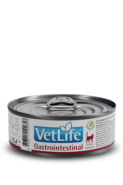 382_33_vet-life-gastrointestinal-85g