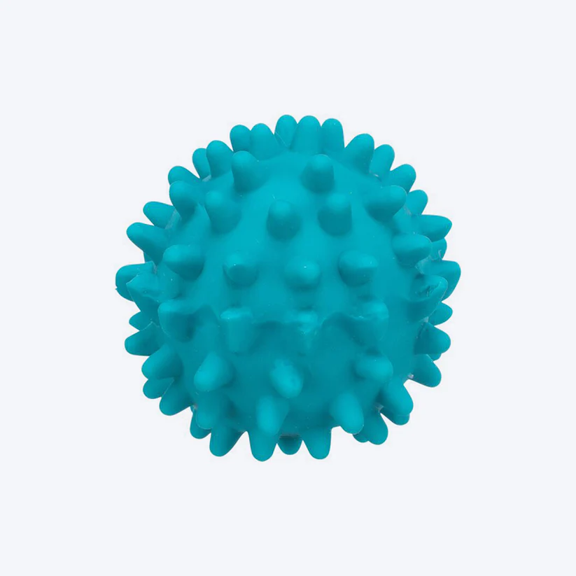 HedgehogBallforDogs2