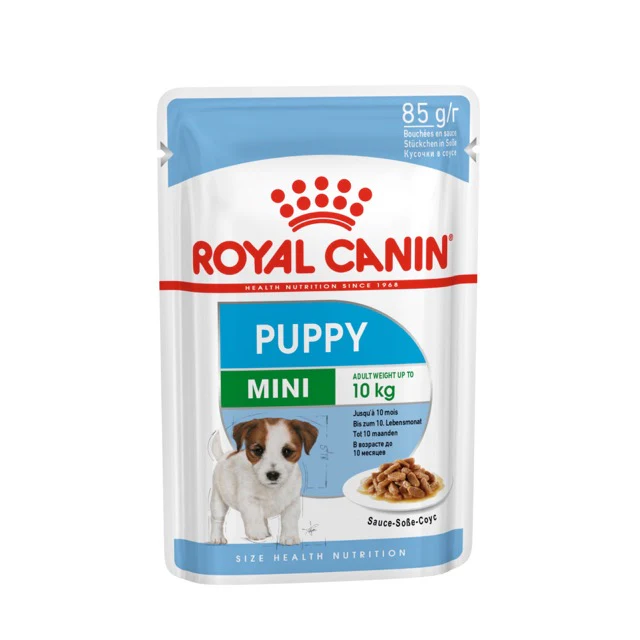 MiniPuppy-1Medium