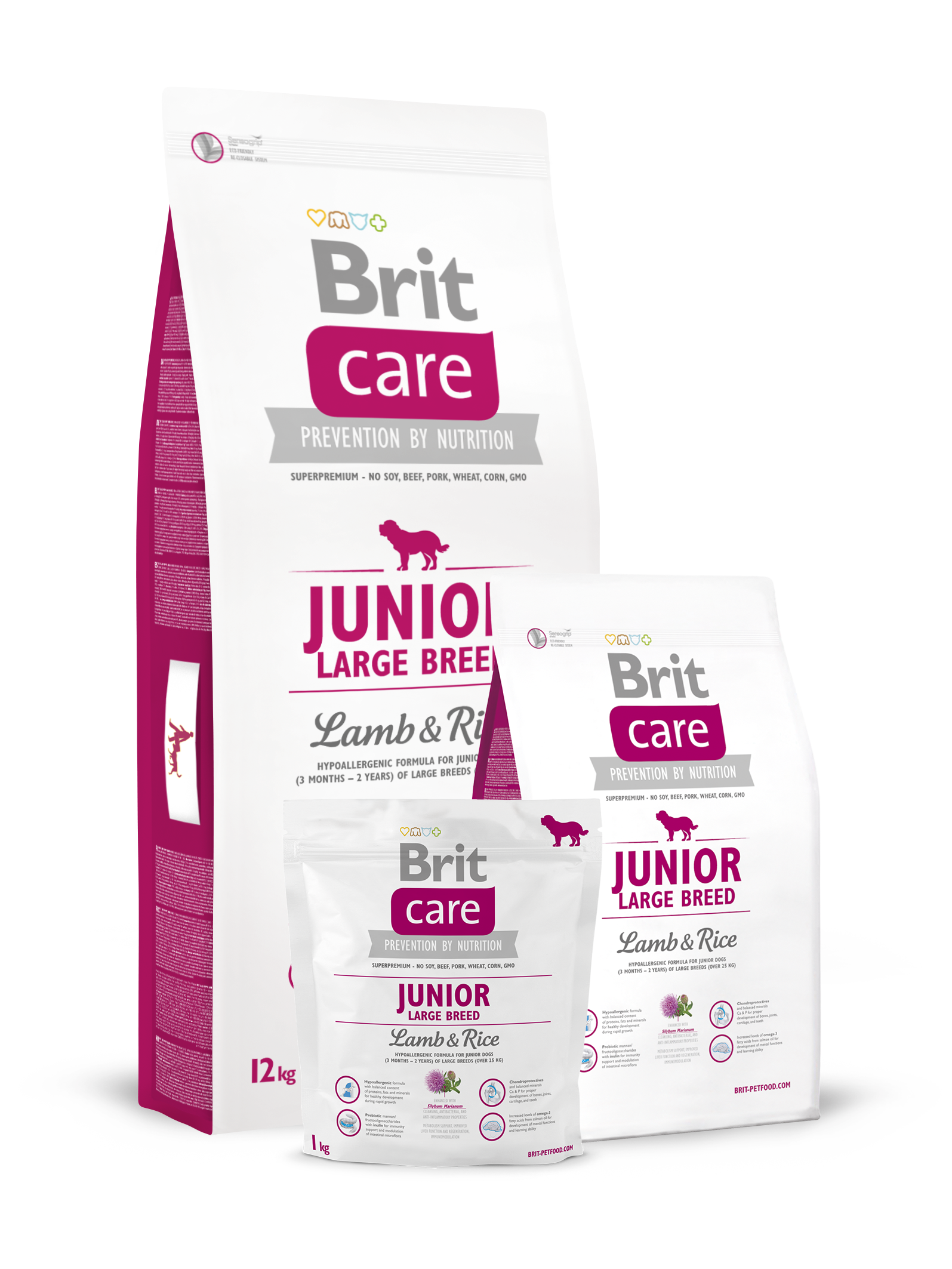 juniorlargebreed_lambrice-1