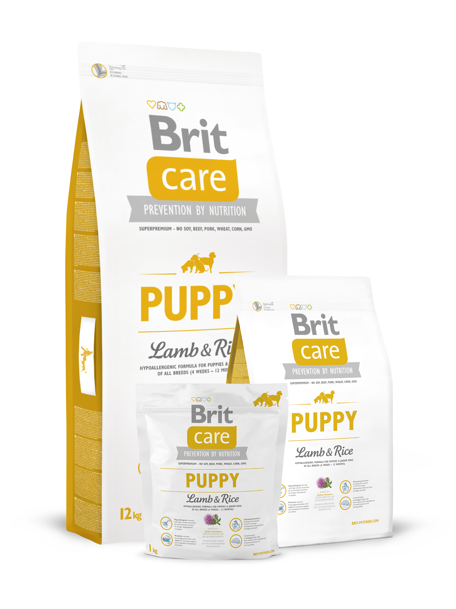 puppy_lambrice