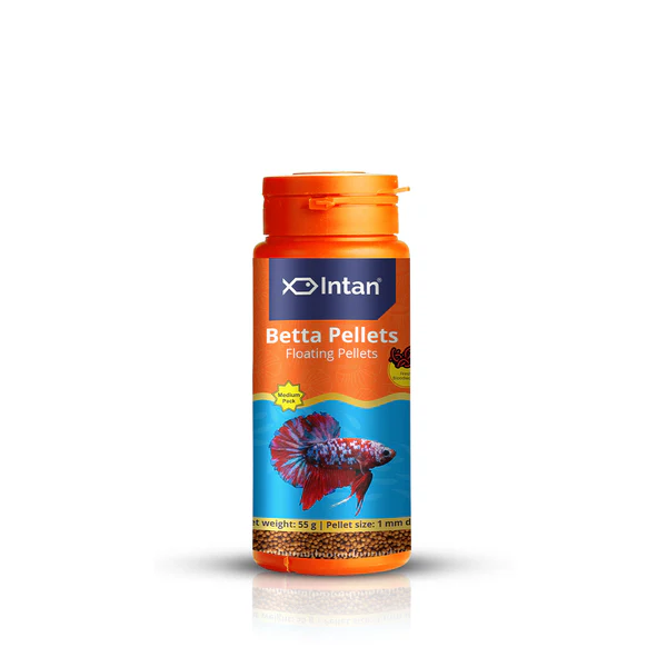Intan_Growel_Betta_55g