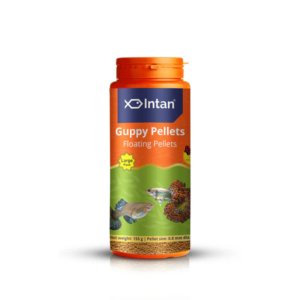 Intan_Growel_Guppy_155g
