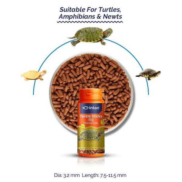 Intan_Growel_turtle_sticks_big_2